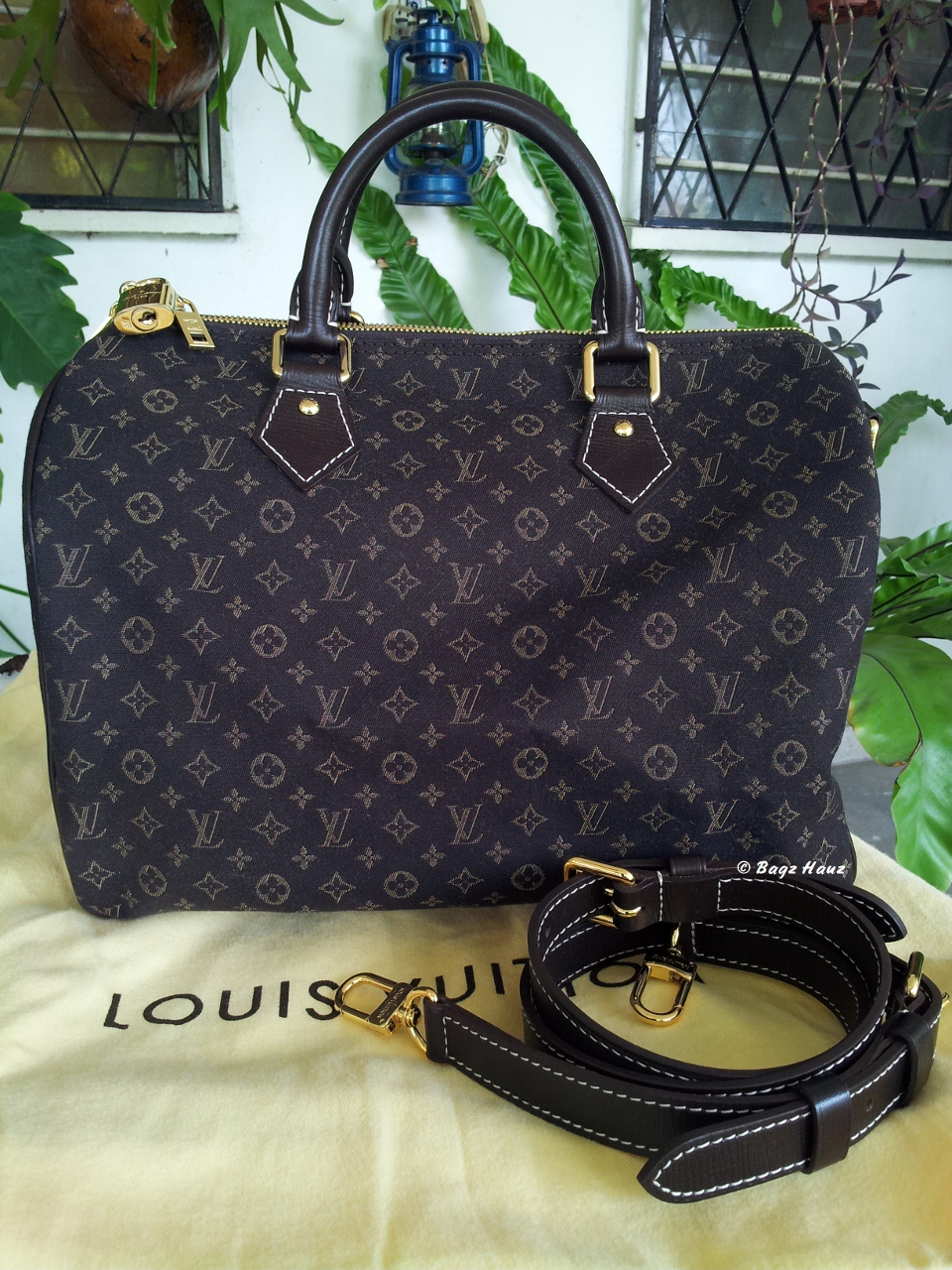 Louis Vuitton Cat Collar Breakaway Honda